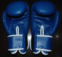 Boxhandschuh-blau-Velcro2